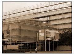 Muséum d'histoire naturelle in Genève under renovation