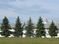 5 spruce trees in front of apartments with a church steeple showing between two trees