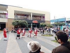 Comparsa patriota en Plaza San Miguel