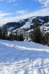 Panoramic view of Gstaad, Schönried, and Saanenmöser