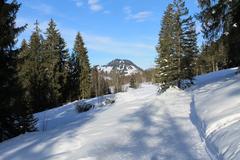 Gstaad Schönried Saanenmöser panoramic view