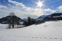 Panoramic view of Gstaad Schönried Saanenmöser with mountains and trees