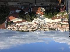 Lisbon cityscape with red rooftops and historic buildings