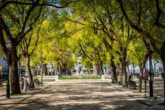 Panoramic view of Lisbon with historic buildings and Tagus River