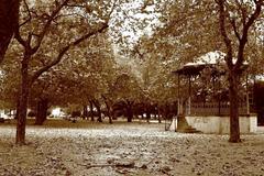 Bandstand in a green park on a sunny day