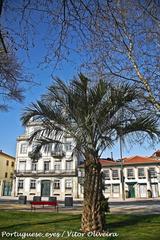 Jardim do Passeio Alegre in Porto, Portugal with palm trees