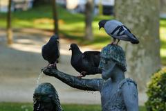 São João Baptista statue in Jardim do Passeio Alegre, Porto