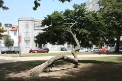 Zona do Passeio Alegre in Porto, Portugal