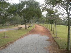 trail at Cemucam park in Cotia, São Paulo, Brazil