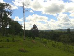 Bairro da Graça / Morro Grande, rural area of Cotia, SP, Brazil