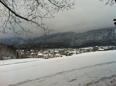 Panoramic view to Rüttenen village