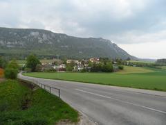 Rüttenen village with Swiss Alps