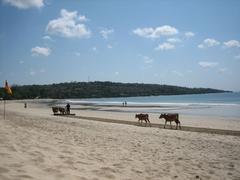 cleaning the beach at Jimbaran Bay