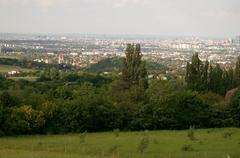 Perchtoldsdorf with Vienna in the background