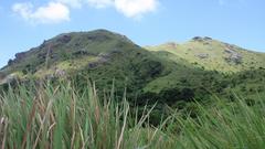 High grassland emerging from a dense forest in Ma On Shan Country Park