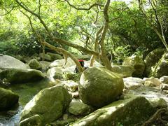 Beautiful scenery of Ma On Shan Country Park with lush green hills and clear blue sky