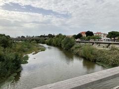 Têt River in Perpignan