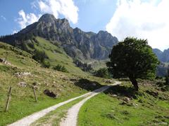 View of Spitzflue and Fochsenflue in the Breccaschlund region