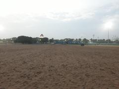 Chennai Marina Beach crowded with people during sunset in October 2022