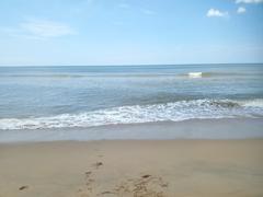 Thiruvanmayur beach with small wave