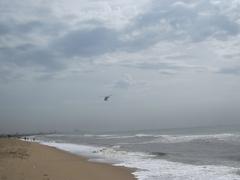 Coast Guard survey over Marina Beach