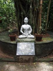 Statue of Buddha at Mangalavanam Bird Sanctuary