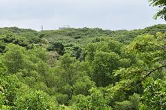 view from top of watch tower in Mangalavanam Bird Sanctuary