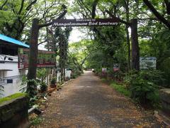 Santuario De Aves De Mangalavanam