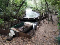 abandoned boats at Mangalavanam Bird Sanctuary