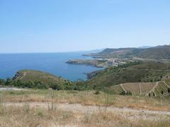 Mediterranean coast between Banyuls and Cerbère