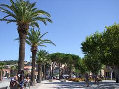 Palm trees, umbrella pines, and plane trees lining the pedestrian waterfront in Banyuls