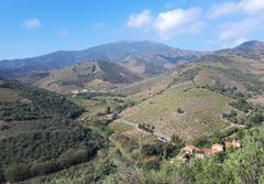 Baillaury river drainage network with Puig de Sallfort in the background