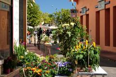 Banyuls-sur-Mer town and coastline in Languedoc-Roussillon, France