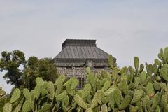 Espacio Ecológico Anahuacalli rear view