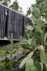 Espacio Ecológico Anahuacalli