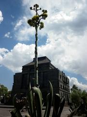 Museo Anahuacalli Casa de Diego Rivera