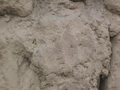 fingerprints on an adobe block from Huaca Pucllana pyramid