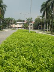 Mehan Garden entrance with signage, palm trees, and historical markers in Ermita, Manila