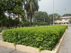 Mehan Garden in Ermita, Manila