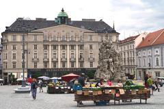 Brno cityscape view showcasing historical buildings