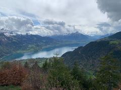 Interlaken scenic view with mountains, lake, and town