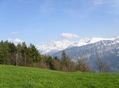 View of eastern Bernese Alps from Beatenberg