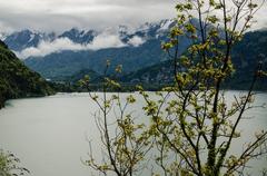 Beatenberg village in Switzerland with mountain backdrop