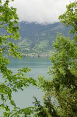 Scenic view of Beatenberg, Switzerland with mountainous landscape