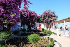 Jardim Júlio de Castilho in Lisbon