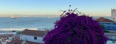 Southward view from the tower of Igreja de Santa Luzia in Lisbon