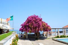 Miradouro Santa Luzia viewpoint in Lisbon with scenic views of the city and the Tagus River