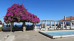 Scenic view from Miradouro de Santa Luzia in Lisbon