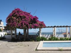 people enjoying scenic view from Castelo de São Jorge to Alfama