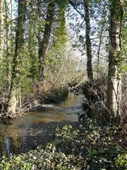 Langley Brook at Middleton Lakes RSPB Reserve